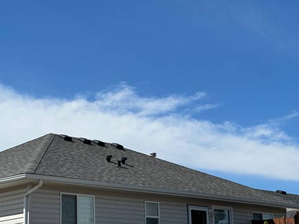 Professional Roof Repair & Installaion in Wind Gap, PA